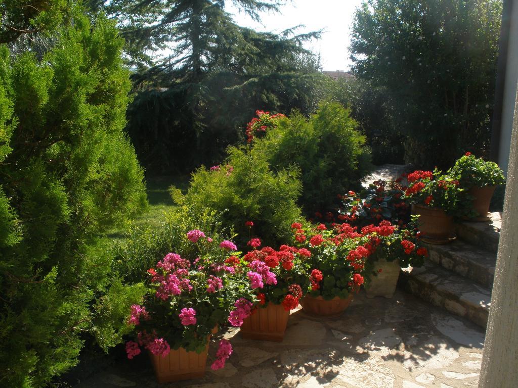 Guesthouse Villa Lena Premantura Chambre photo